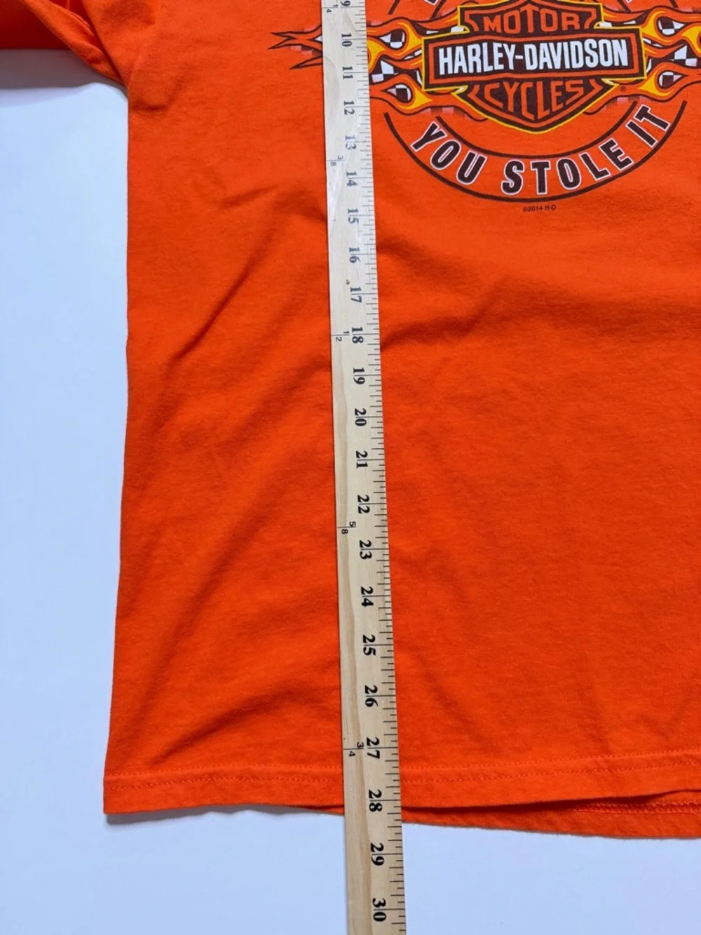 Harley Davidson Langley Chapter Flames Long Sleeve T-Shirt Mens Large - Picture 9 of 9